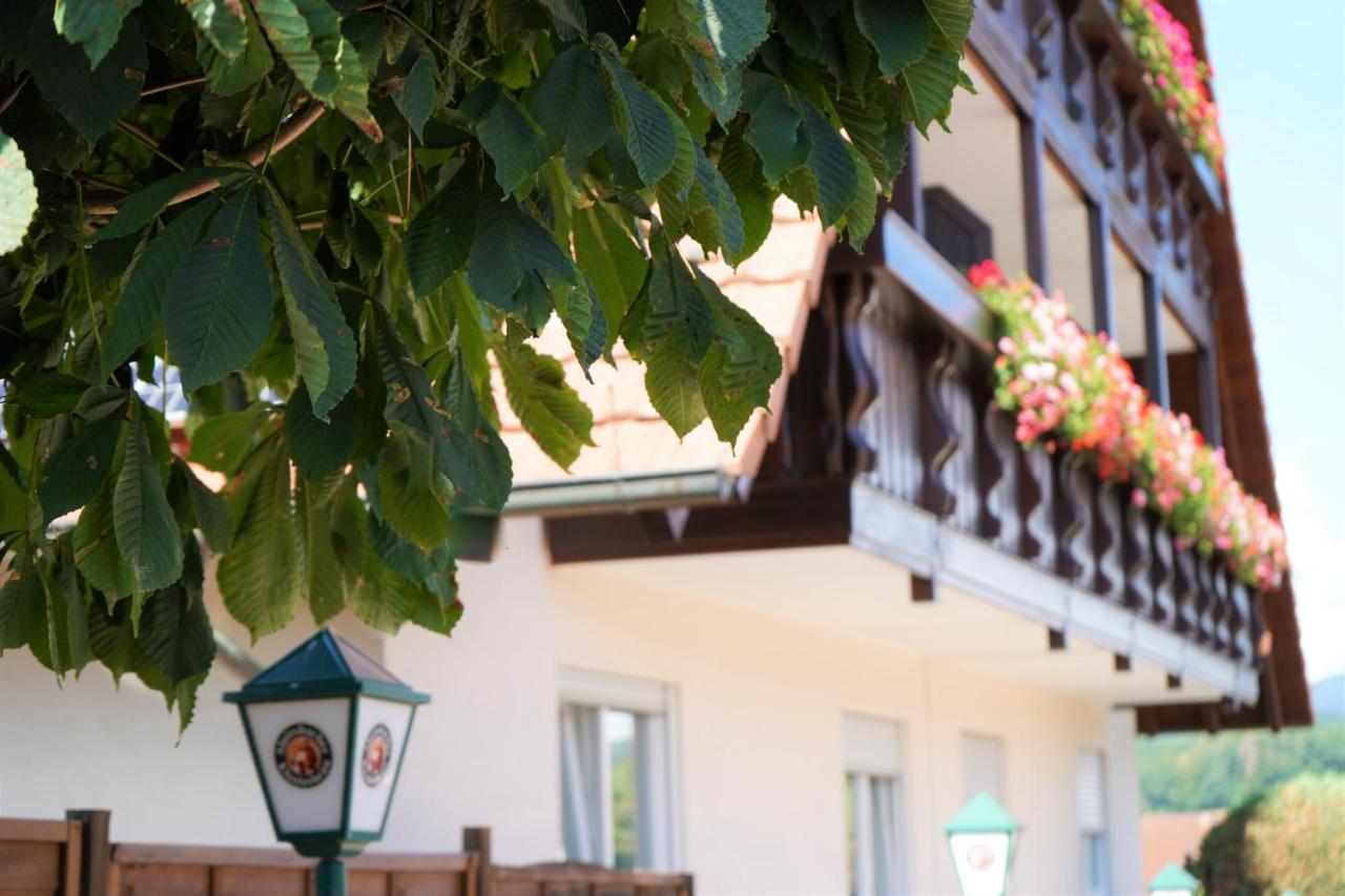 Alte Post Hotel Garni - Schallbach Bei Loerrach Buitenkant foto