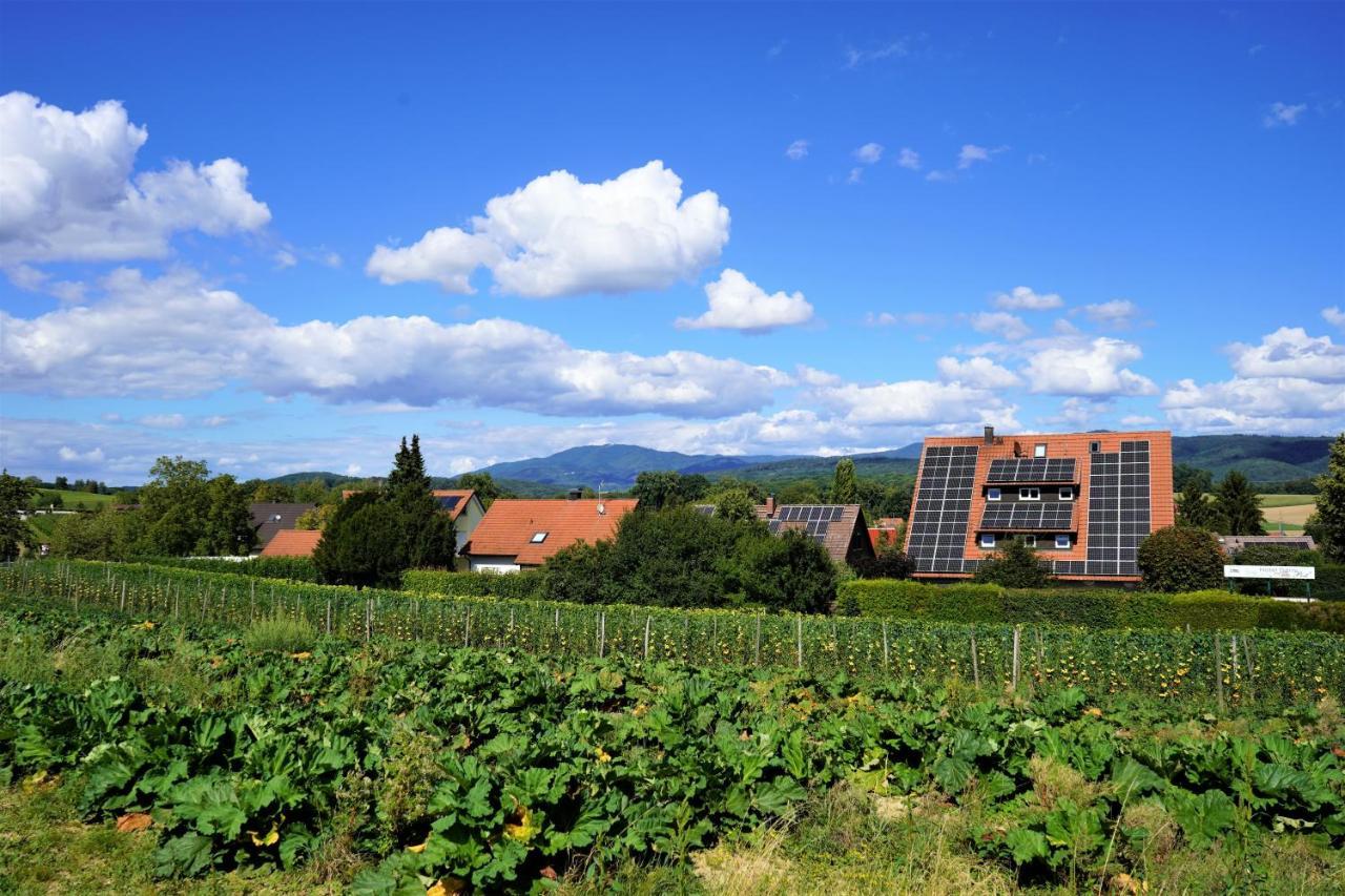Alte Post Hotel Garni - Schallbach Bei Loerrach Buitenkant foto