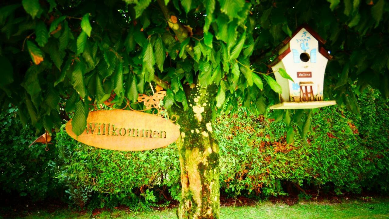 Alte Post Hotel Garni - Schallbach Bei Loerrach Buitenkant foto